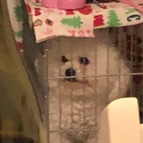 豆友228707705
