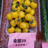 佐罗