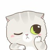 粉爱粉爱你