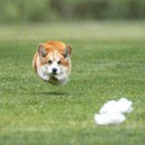 搞钱最重要