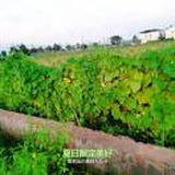 一米阳光