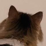 極夜飛行