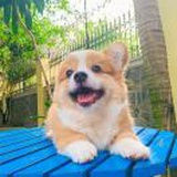 终究是陌生人