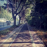 中国检验医学
