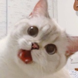莫名其妙