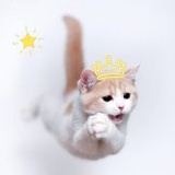 星源可追
