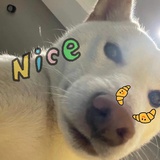 吴羡好.