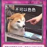呜呜呜呜哇哇