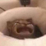 哼唧
