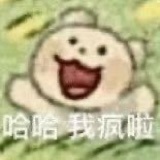 玫瑰花甜饼