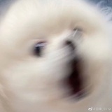 金廷幼儿教育