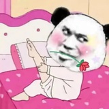 羊村顶流小懒懒