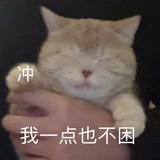 可爱nn