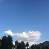 旧城