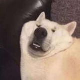 哈哈