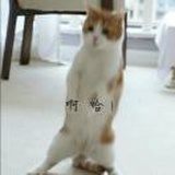 喔