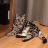 王嘉尔的白月光