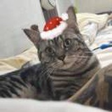 慕大佬