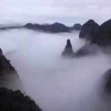 大智若愚pvc【专
