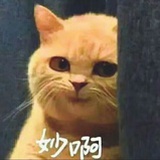 林墨（拍照）