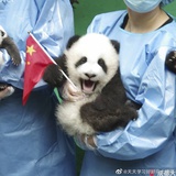 追剧人