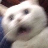 赫尔辛根莫斯肯