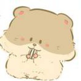 Wy