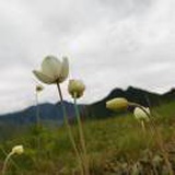 向阳而生