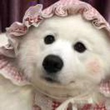 馋女人了