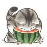 豆友友