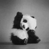 留，光。