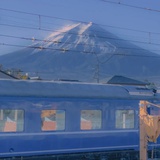 芥薰