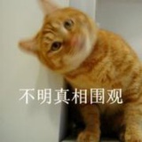 哈哈哈哈哈里