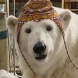 瘦熊🐻