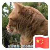 薛定谔的猫