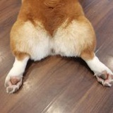 墨色晚迹_786