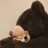赫鲁晓夫之怒