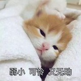 一团乱麻袋