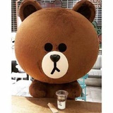 _小洋哥哥