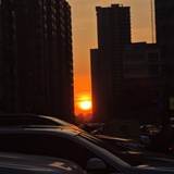 与会