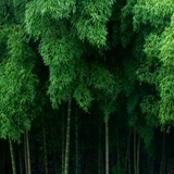 万家灯火