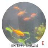 百草味