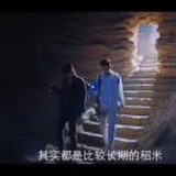 陈年稻一枚