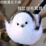 等待三月