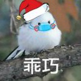 秋秋吱哩哇啦
