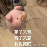 墨墨墨墨🌈