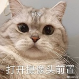 啊啊怪