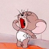 Qiucchy