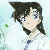 林间竹子