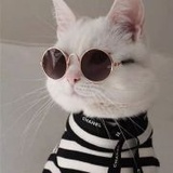 爱喝牛奶白开水